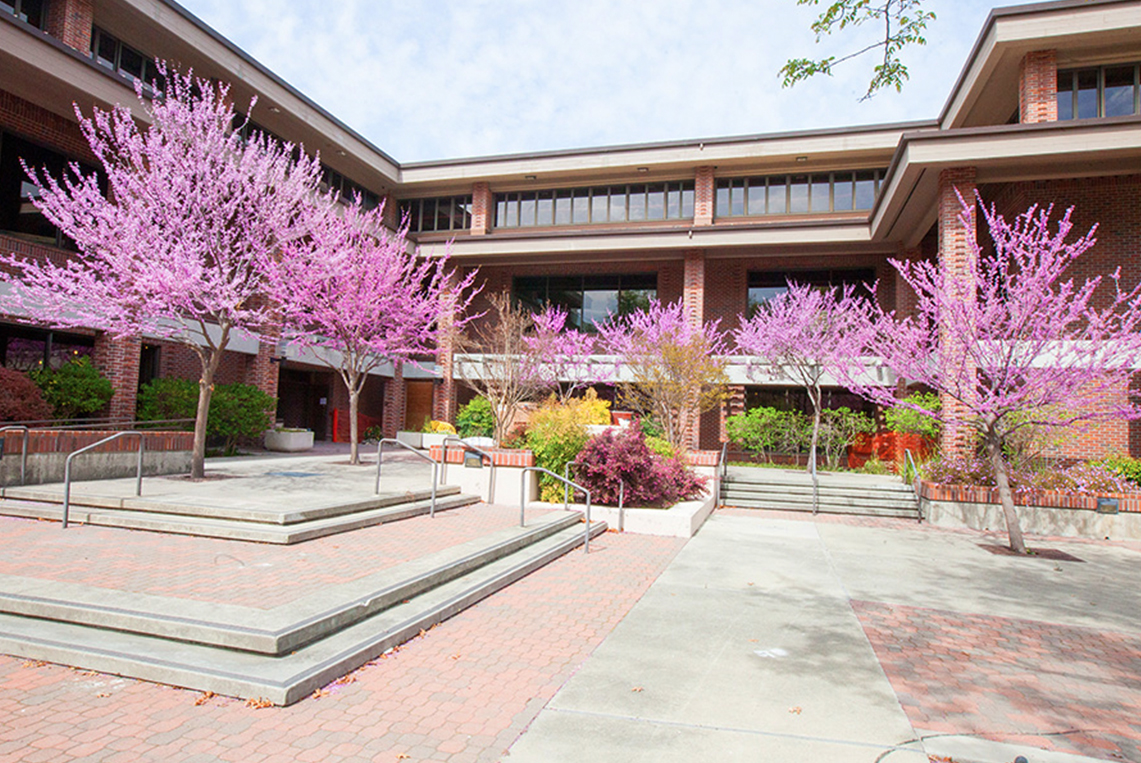 Medical Imaging, Concord